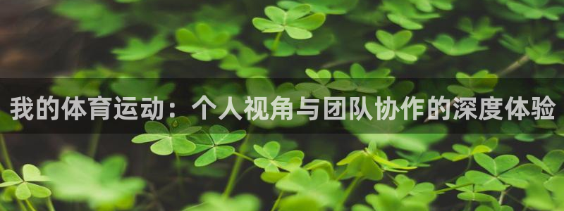 七星体育直播现场直播新浪：我的体育运动：个人视角与团队协作的深度体验