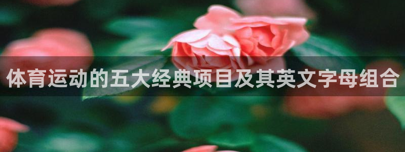 七星体育咩咩：体育运动的五大经典项目及其英文字母组合