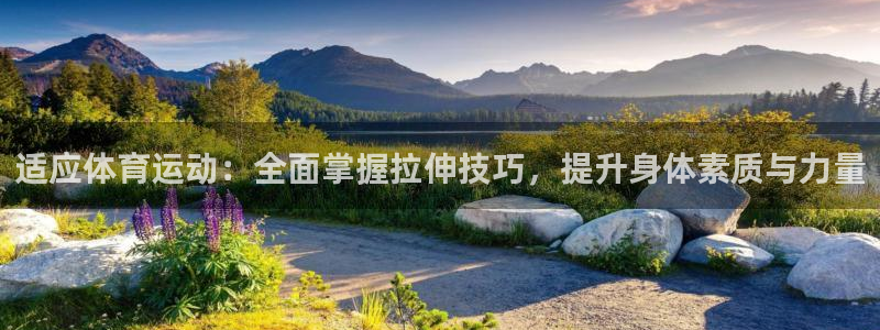 七星体育NBA：适应体育运动：全面掌握拉伸技巧，提升身体素质与力量