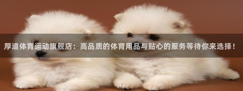 七星体育彩票结果：厚道体育运动旗舰店：高品质的体育用品与贴心的服务等待你来选择！